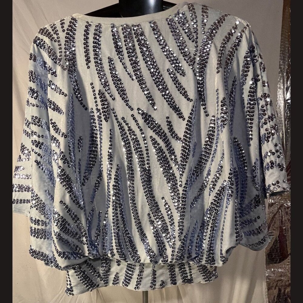 Alfani Sky‎ Blue Velvet Sequins Batwing Top Size M